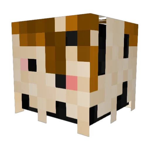 Withermaster35 Minecraft avatar head, 3D render