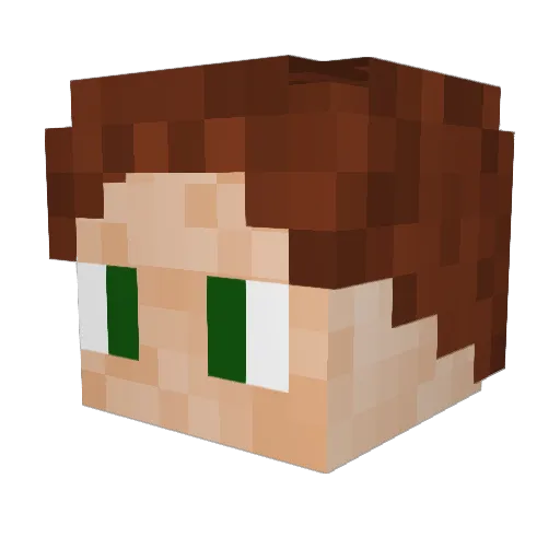 WitherslayR Minecraft avatar head, 3D render