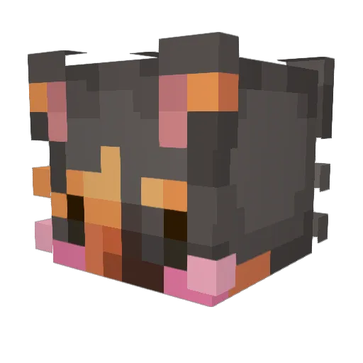Witherstorm8475 Minecraft avatar head, 3D render