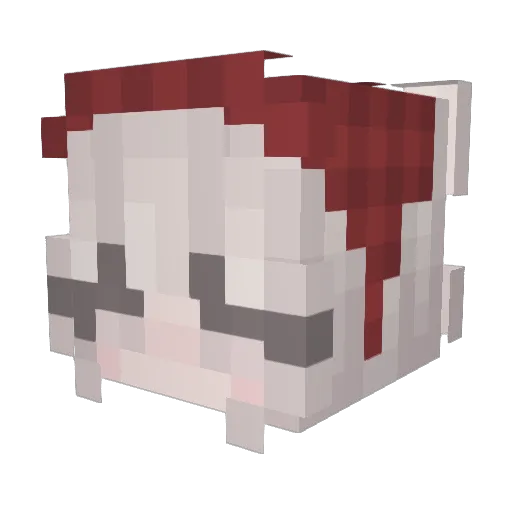 WitherxxRose Minecraft avatar head, 3D render