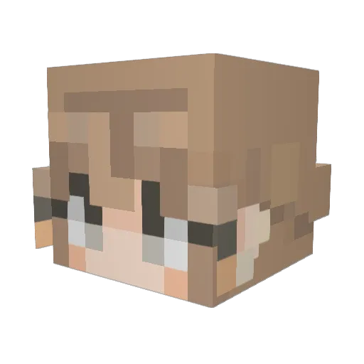 Withhminsmin Minecraft avatar head, 3D render