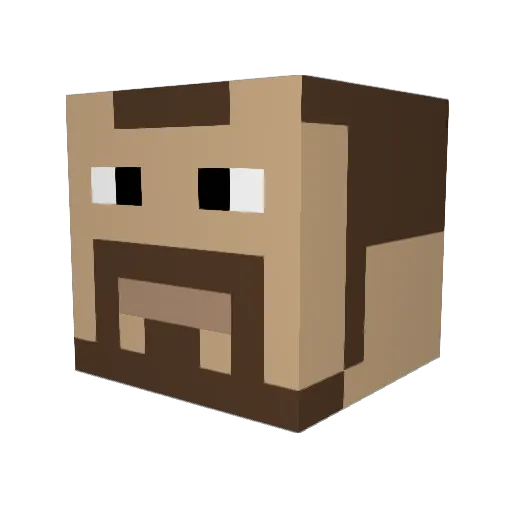 Without0 Minecraft avatar head, 3D render