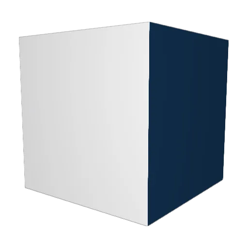 Without_Loyalty Minecraft avatar head, 3D render