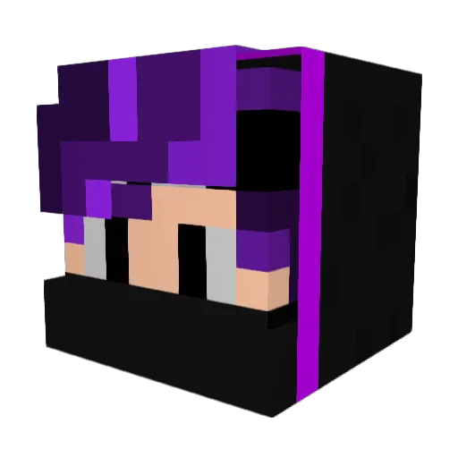 Withzz123 Minecraft avatar head, 3D render