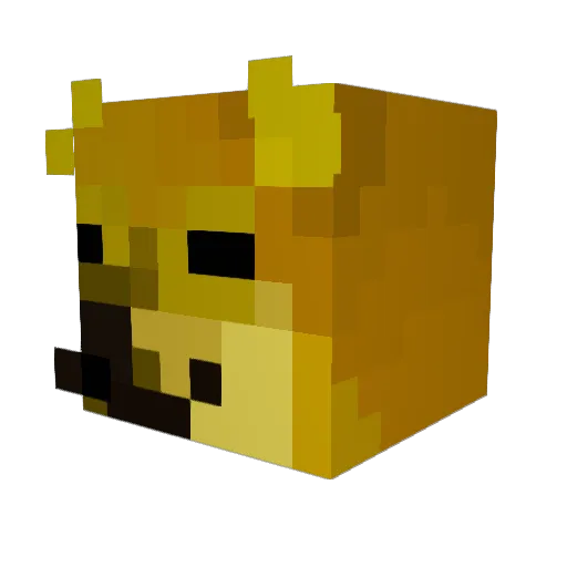 Witiosza Minecraft avatar head, 3D render