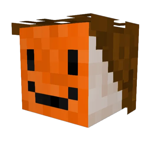 WitoTank14 Minecraft avatar head, 3D render