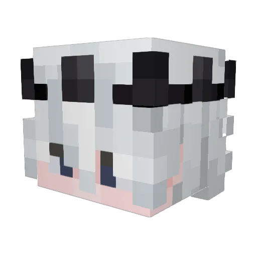Witold___ Minecraft avatar head, 3D render