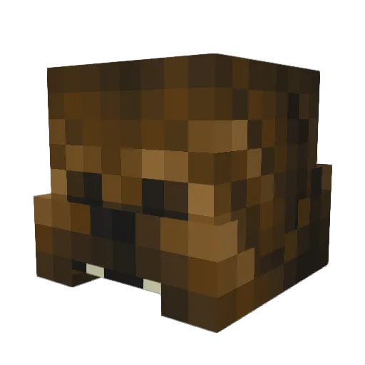 Witon Minecraft avatar head, 3D render