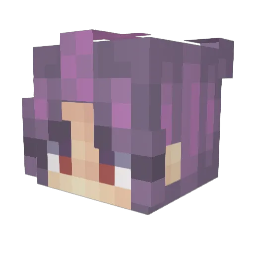 Wits7 Minecraft avatar head, 3D render