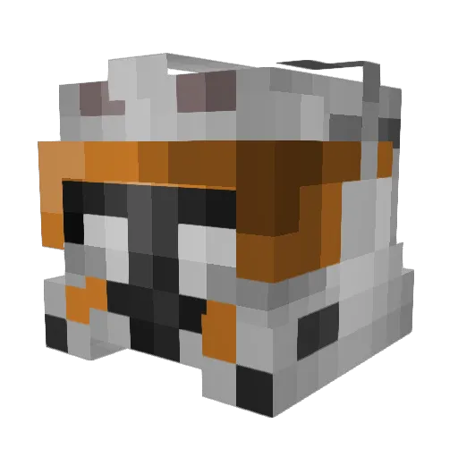 WitteSchimmel Minecraft avatar head, 3D render