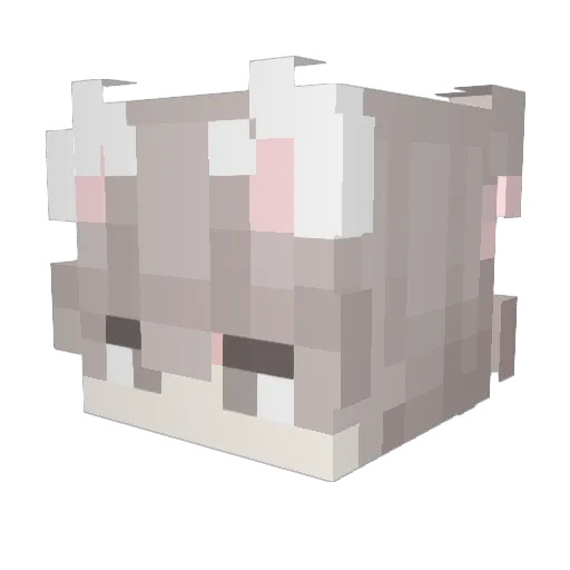 Wittenoom Minecraft avatar head, 3D render