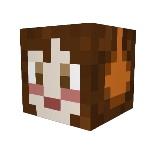 WittleWorksIt Minecraft avatar head, 3D render