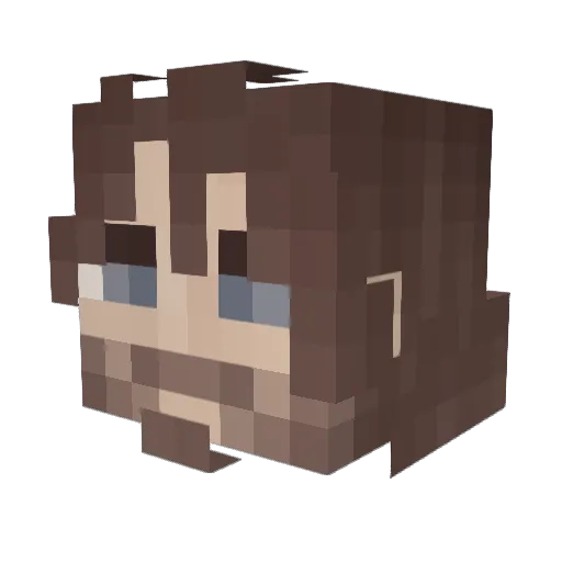 Witty_Username Minecraft avatar head, 3D render
