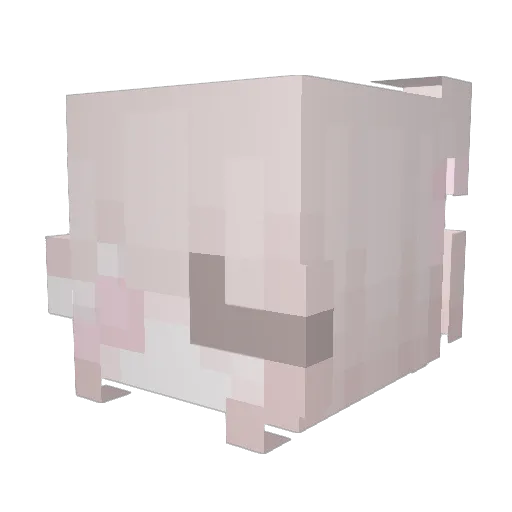 Wittyte Minecraft avatar head, 3D render