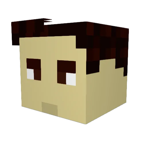 Wittz8 Minecraft avatar head, 3D render