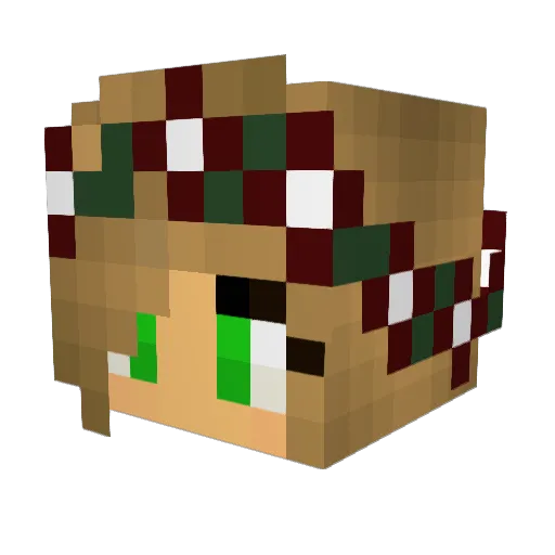 Wiwasteka Minecraft avatar head, 3D render