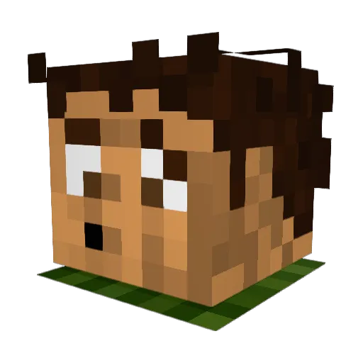 Wixern Minecraft avatar head, 3D render