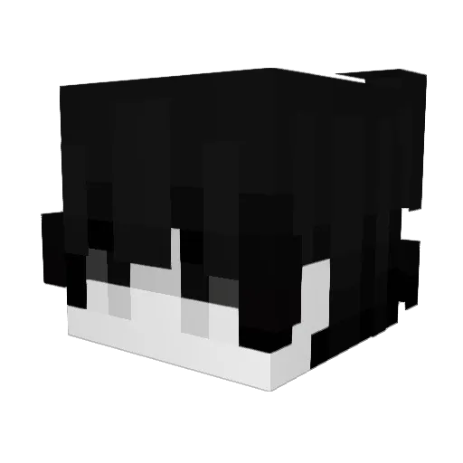 WizSwapsWJHjPW Minecraft avatar head, 3D render