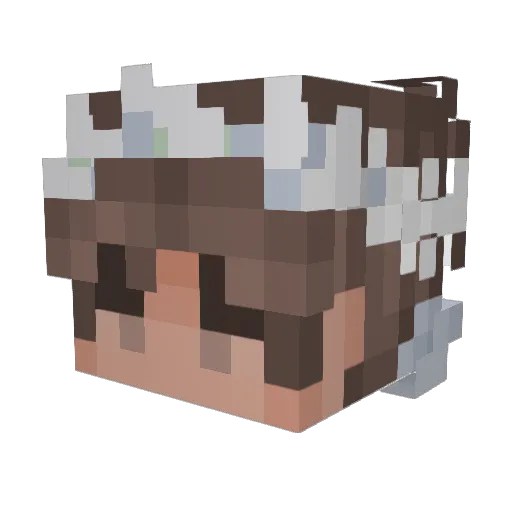 Wizard05 Minecraft avatar head, 3D render