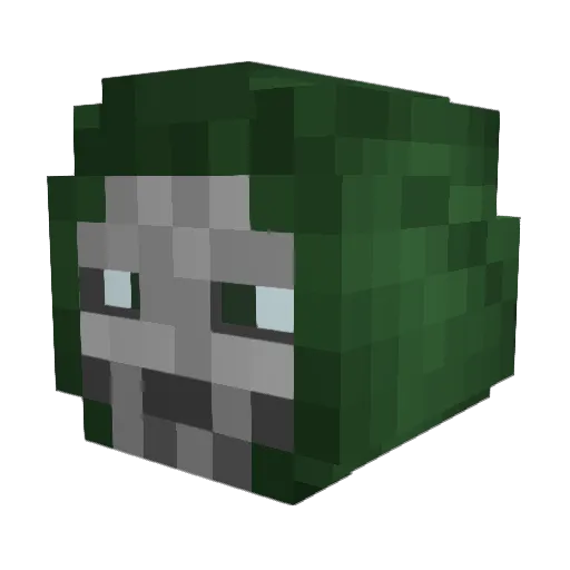 Wizard5116 Minecraft avatar head, 3D render