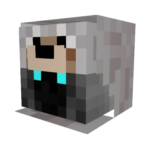 Wizard61 Minecraft avatar head, 3D render