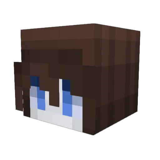 WizardCity101 Minecraft avatar head, 3D render