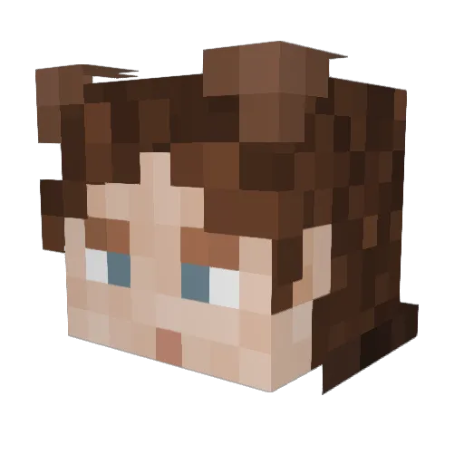 WizardDude0011 Minecraft avatar head, 3D render