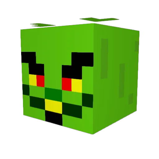 WizardEchidna Minecraft avatar head, 3D render