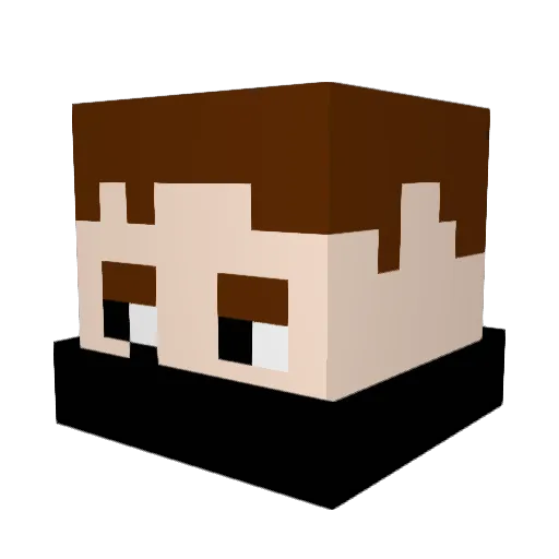 WizardEverybit Minecraft avatar head, 3D render