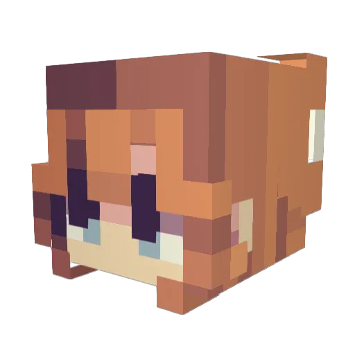 WizardFoxu Minecraft avatar head, 3D render