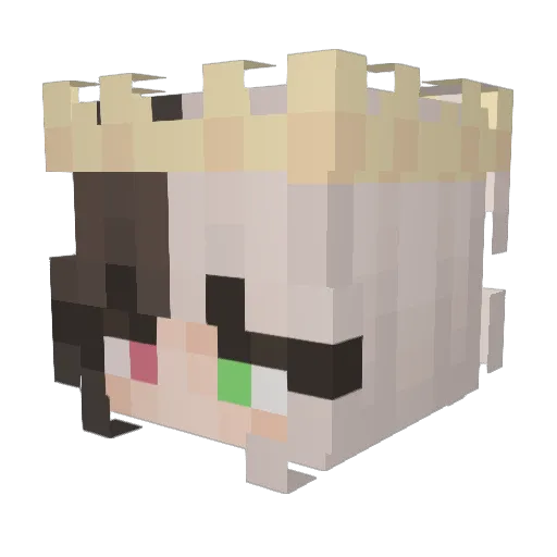WizardGirl05 Minecraft avatar head, 3D render