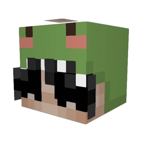 WizardHowl04 Minecraft avatar head, 3D render