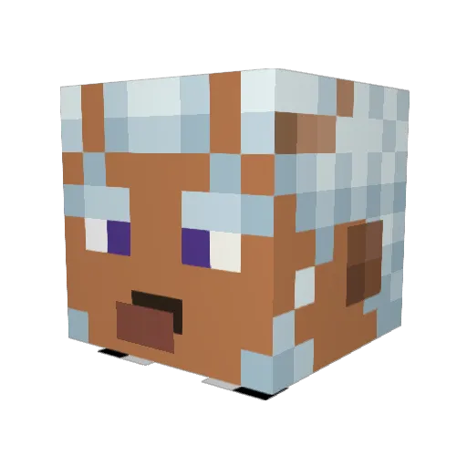 WizardIsFat Minecraft avatar head, 3D render