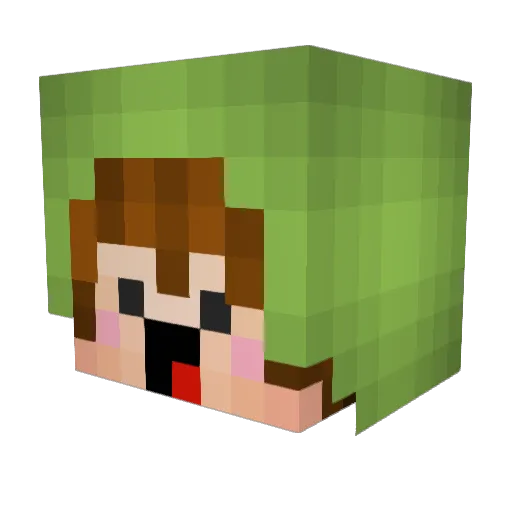 WizardKidSwag Minecraft avatar head, 3D render