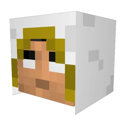 WizardLemurs Minecraft avatar head, 3D render