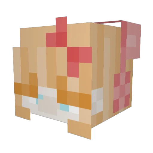 WizardPoogutsJr Minecraft avatar head, 3D render