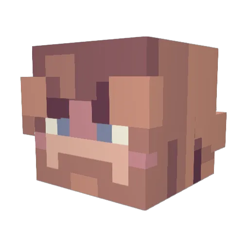 WizardSucks Minecraft avatar head, 3D render