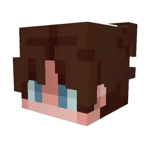 WizardSumo Minecraft avatar head, 3D render