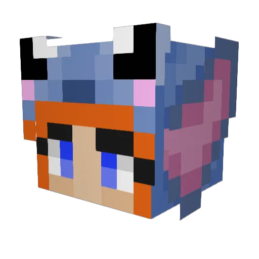 WizardTomcat99 Minecraft avatar head, 3D render