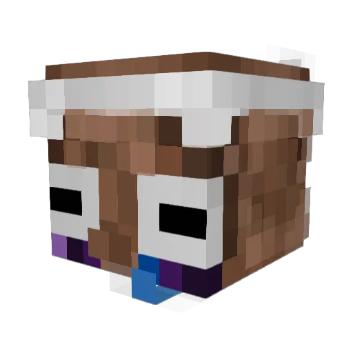 Wizard_Bl00D Minecraft avatar head, 3D render