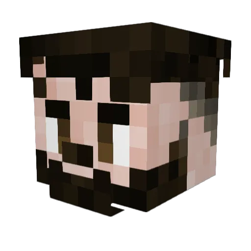Wizardfp Minecraft avatar head, 3D render
