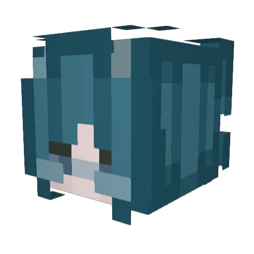 WizardingWarden Minecraft avatar head, 3D render