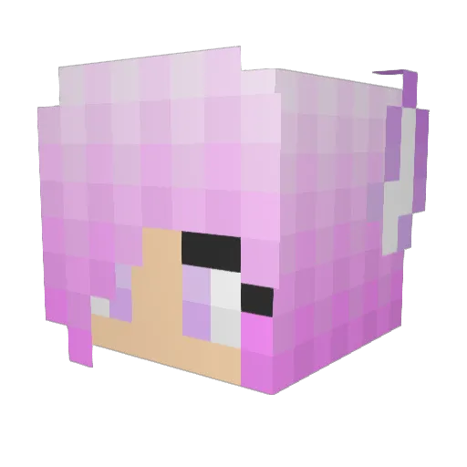 Wizardsis41919 Minecraft avatar head, 3D render