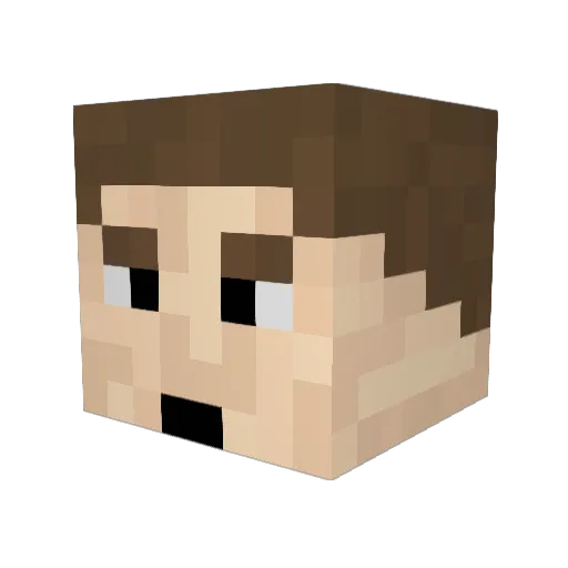 Wizdomcar Minecraft avatar head, 3D render