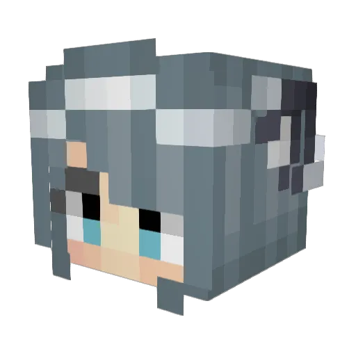 WizeNDeadly Minecraft avatar head, 3D render