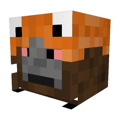 Wize_Wizard Minecraft avatar head, 3D render