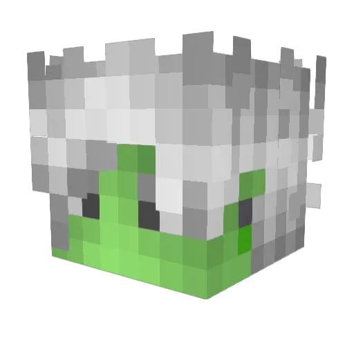 WizenRodriguez Minecraft avatar head, 3D render