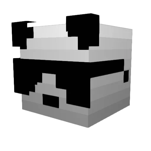 Wizerdcraft58 Minecraft avatar head, 3D render