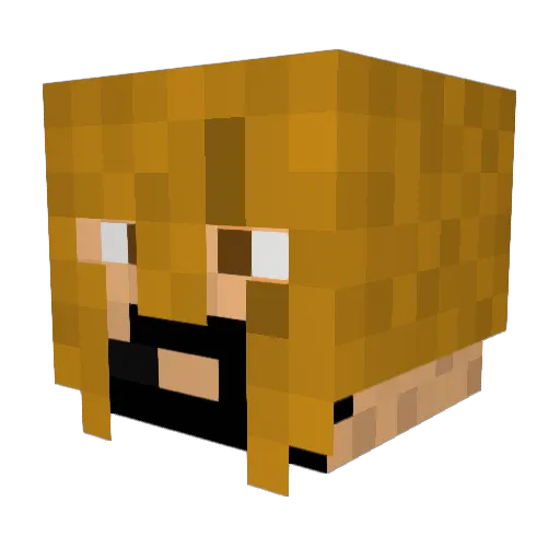 Wizkitoman Minecraft avatar head, 3D render