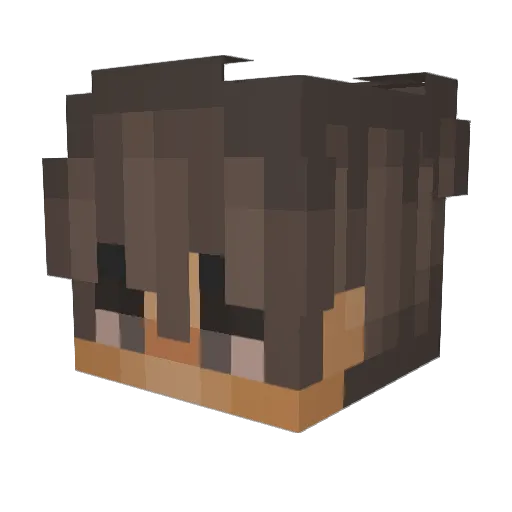 Wizy_bg Minecraft avatar head, 3D render